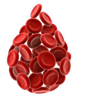 Image Red Blood Cells