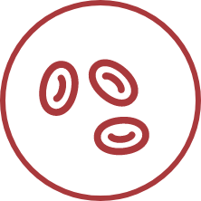 blood cell icon