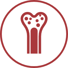 bone marrow icon